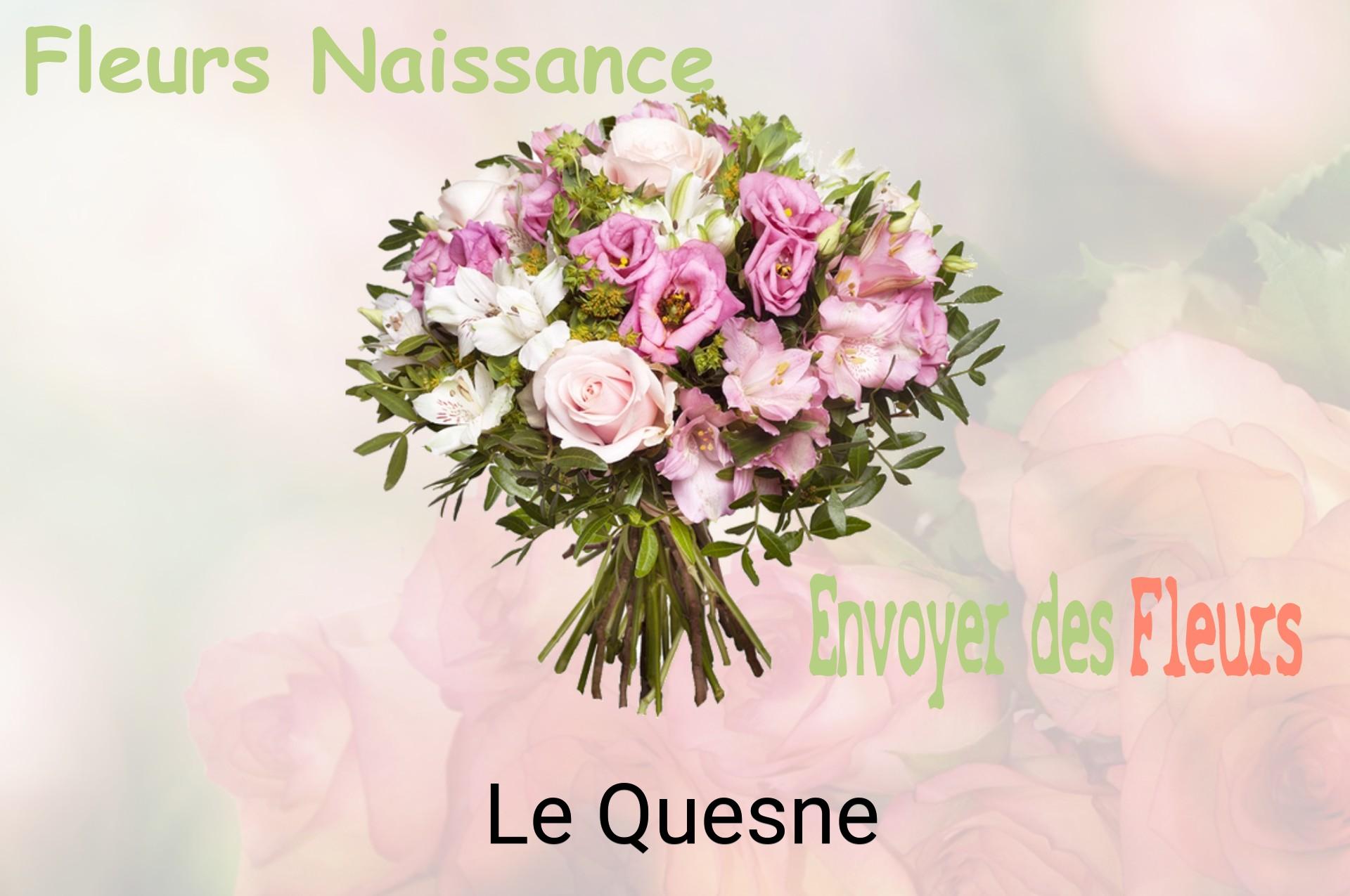 Bouquet de fleurs de naissance livré à Le Quesne